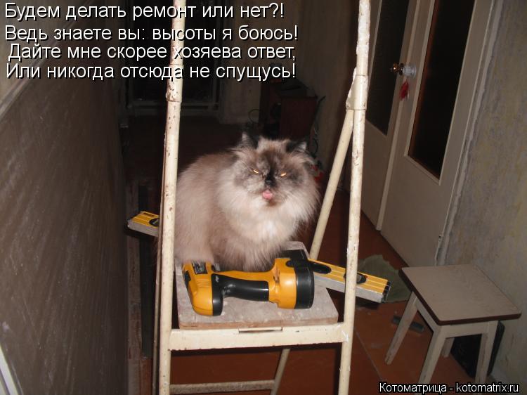 Будем делать ремонт или нет?! Ведь знаете вы: высоты я боюсь! Дайте мне скорее хозяева ответ, Или ник... Котоматрица: Будем делать ремонт или нет?! Ведь знаете вы: высоты я боюсь! Дайте мне скорее хозяева ответ, Или никогда отсюда не спущусь!