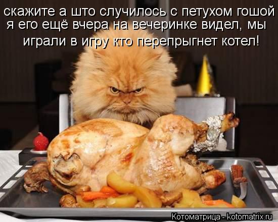 скажите а што случилось с петухом гошой я еще вчера на вечеринке видел мы играли в игру кто перепрыгн... Котоматрица: скажите а што случилось с петухом гошой я еще вчера на вечеринке видел мы играли в игру кто перепрыгнет котел я его ещё вчера на вечеринке в