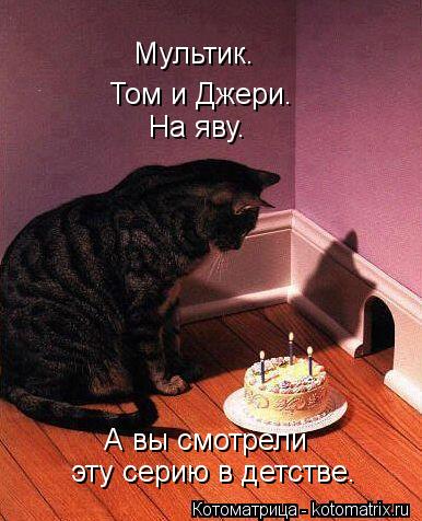 Котоматрица: Том и Джери. Мультик. На яву. А вы смотрели  эту серию в детстве.