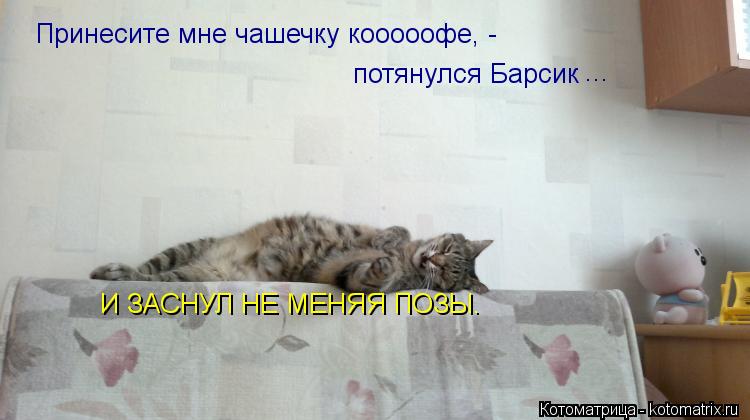 Котоматрица: Принесите мне чашечку кооооофе, -    потянулся Барсик ... И ЗАСНУЛ НЕ МЕНЯЯ ПОЗЫ.