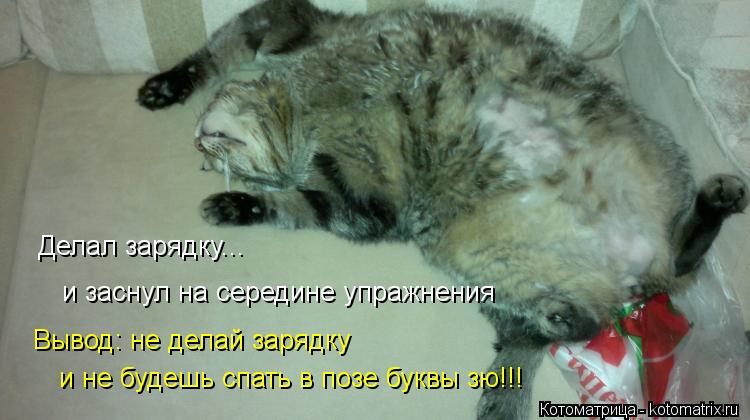 Котоматрица: Делал зарядку... Вывод: не делай зарядку и заснул на середине упражнения и не будешь спать в позе буквы зю!!!