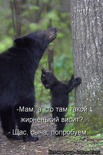 -Мам, а кто там такой жирненький висит? - Щас, сына, попробуем.... Котоматрица: -Мам, а кто там такой жирненький висит? - Щас, сына, попробуем.