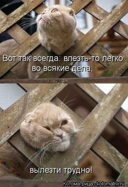 Вот так всегда: влезть-то легко во всякие дела, вылезти трудно!... Котоматрица: Вот так всегда: влезть-то легко во всякие дела, вылезти трудно!