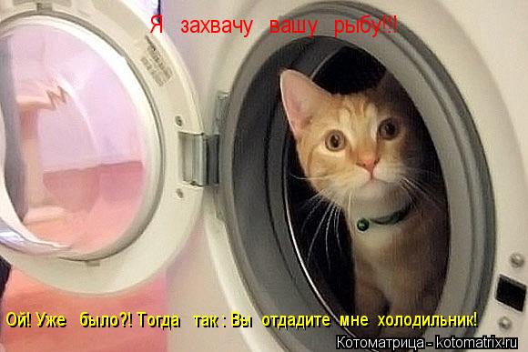 Я захвачу вашу рыбу!!! Ой! Уже было?! Тогда так : Вы отдадите мне холодильник!... Котоматрица: Я захвачу вашу рыбу!!! Ой! Уже было?! Тогда так : Вы отдадите мне холодильник!