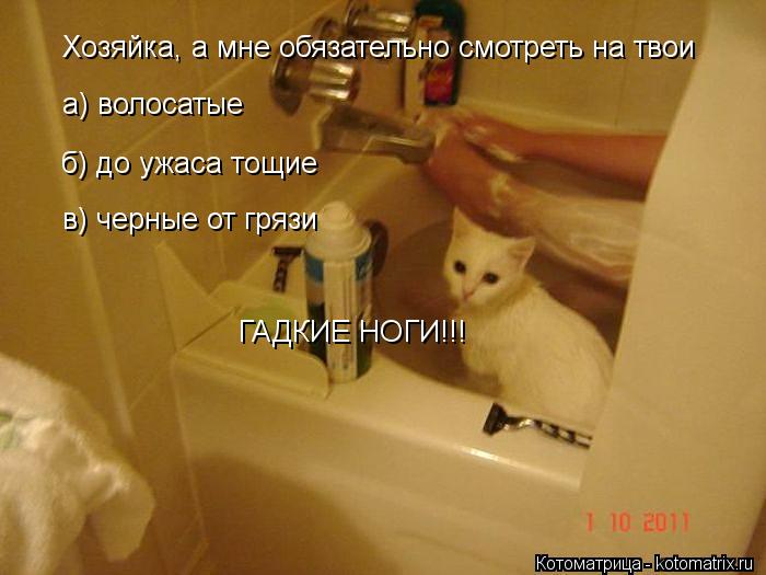 Котоматрица: Хозяйка, а мне обязательно смотреть на твои а) волосатые б) до ужаса тощие в) черные от грязи ГАДКИЕ НОГИ!!!