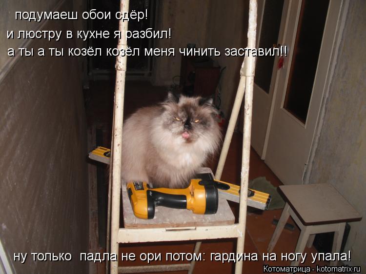 Котоматрица: подумаеш обои сдёр! и люстру в кухне я разбил! а ты а ты козёл козёл меня чинить заставил!! ну только  падла не ори потом: гардина на ногу упала