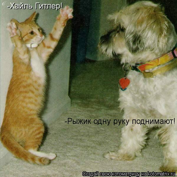 Котоматрица: -Хайль Гитлер! -Рыжик одну руку поднимают!
