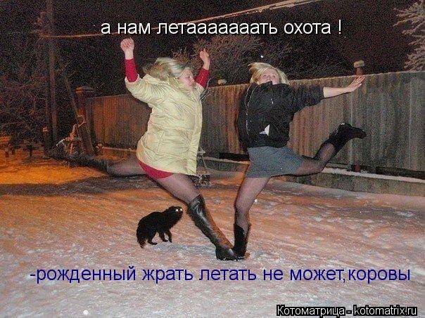 Котоматрица: а нам летааааааать охота !  -рожденный жрать летать не может,коровы
