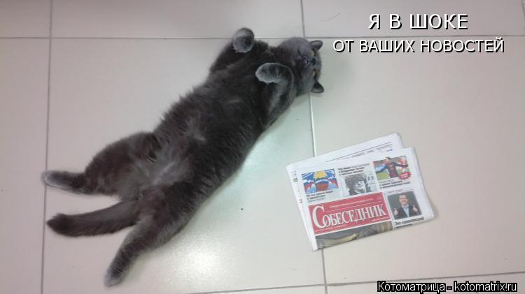 Я В ШОКЕ ОТ ВАШИХ НОВОСТЕЙ... Котоматрица: Я В ШОКЕ ОТ ВАШИХ НОВОСТЕЙ