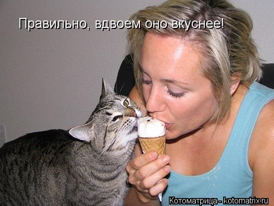 Котоматрица: Правильно, вдвоем оно вкуснее!