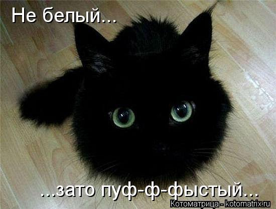 Котоматрица: Не белый... ...зато пуф-ф-фыстый...