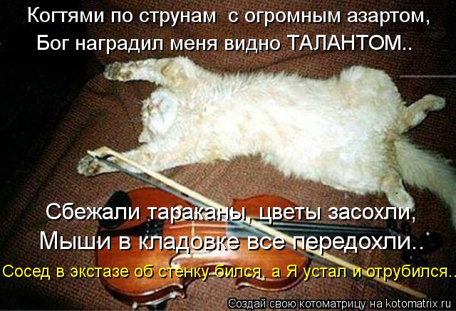 Когтями по струнам с огромным азартом, Бог наградил меня видно ТАЛАНТОМ.. Сбежали тараканы, цветы за... Котоматрица: Когтями по струнам с огромным азартом, Бог наградил меня видно ТАЛАНТОМ.. Сбежали тараканы, цветы засохли, Мыши в кладовке все передохли.. С