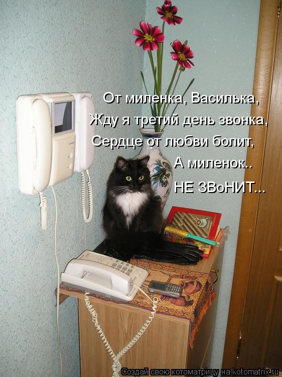 От миленка, Василька, Жду я третий день звонка, Сердце от любви болит, А миленок.. НЕ ЗВоНИТ...... Котоматрица: От миленка, Василька, Жду я третий день звонка, Сердце от любви болит, А миленок.. НЕ ЗВоНИТ...