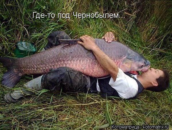 Где-то под Чернобылем...... Котоматрица: Где-то под Чернобылем...