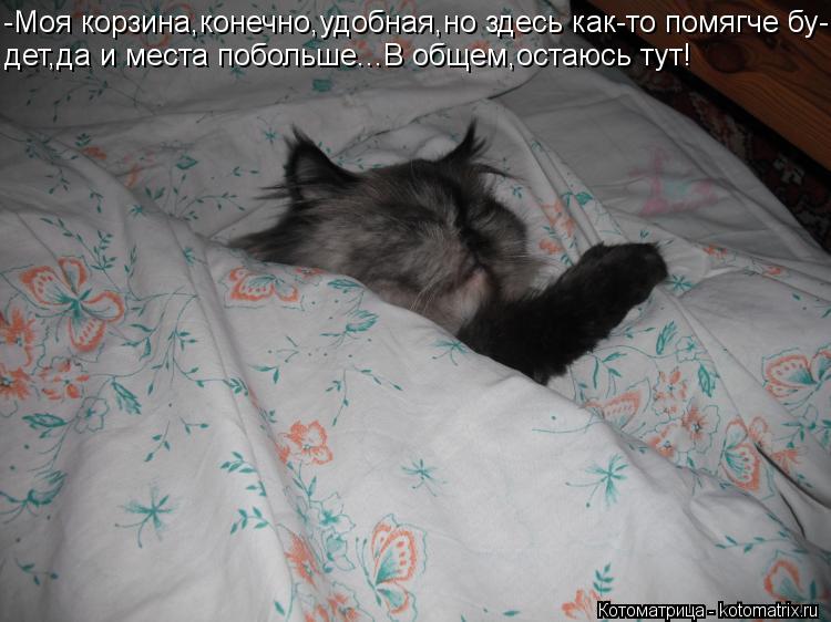 Котоматрица: -Моя корзина,конечно,удобная,но здесь как-то помягче бу- дет,да и места побольше...В общем,остаюсь тут!