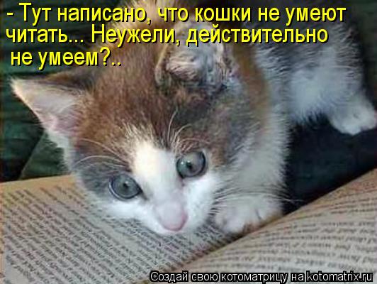 - Тут написано, что кошки не умеют читать... Неужели, действительно не умеем?..... Котоматрица: - Тут написано, что кошки не умеют читать... Неужели, действительно не умеем?..
