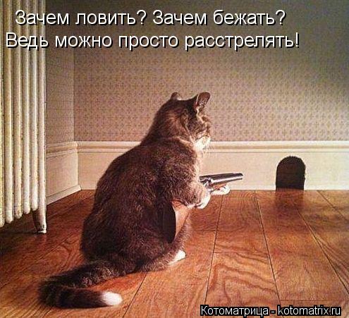 Котоматрица: Зачем ловить? Зачем бежать? Ведь можно просто расстрелять!