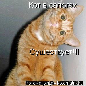 Котоматрица: Кот в сапогах Сушествует!!!