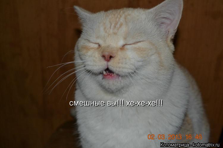Котоматрица: смешные вы!!! хе-хе-хе!!!