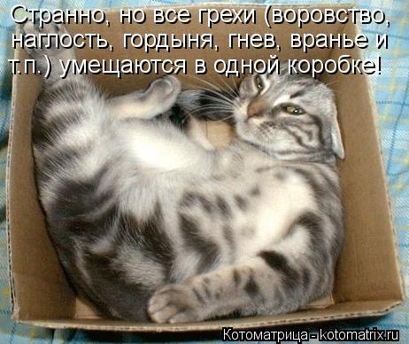 Странно, но все грехи (воровство, наглость, гордыня, гнев, вранье и т.п.) умещаются в одной коробке!... Котоматрица: Странно, но все грехи (воровство, наглость, гордыня, гнев, вранье и т.п.) умещаются в одной коробке!