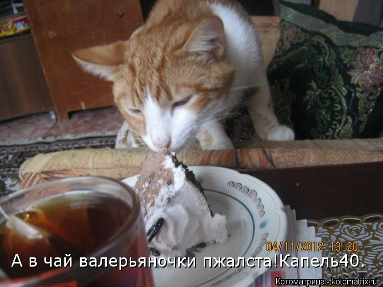 Котоматрица: А в чай валерьяночки пжалста!Капель40.
