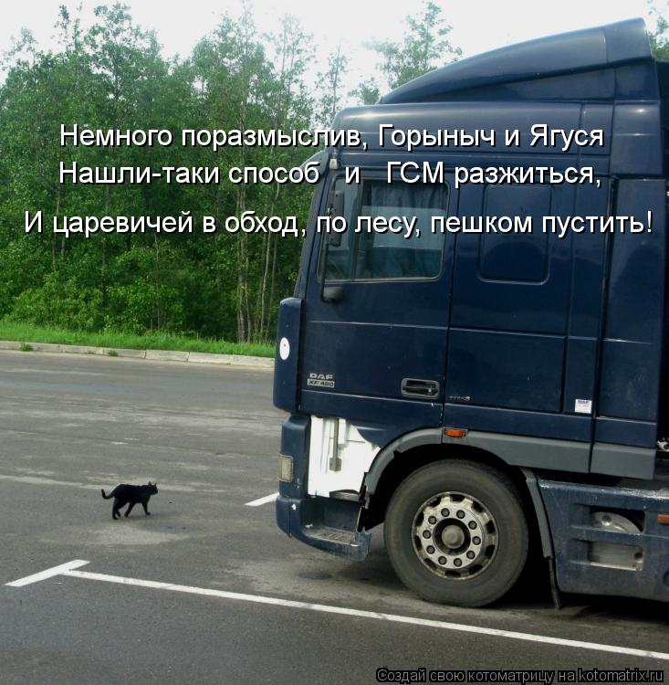 Котоматрица: Немного поразмыслив, Горыныч и Ягуся Нашли-таки способ   и   ГСМ разжиться, И царевичей в обход, по лесу, пешком пустить!