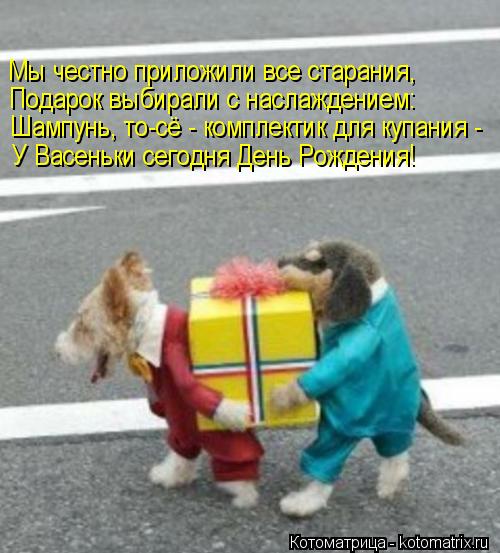 Мы честно приложили все старания, Подарок выбирали с наслаждением: Шампунь, то-сё - комплектик для ку... Котоматрица: Мы честно приложили все старания, Подарок выбирали с наслаждением: Шампунь, то-сё - комплектик для купания - У Васеньки сегодня День Рождени
