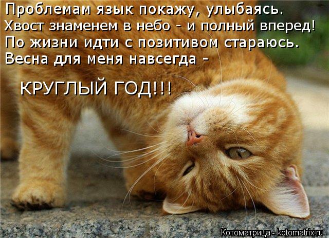 Проблемам язык покажу, улыбаясь. Хвост знаменем в небо - и полный вперед! По жизни идти с позитивом с... Котоматрица: Проблемам язык покажу, улыбаясь. Хвост знаменем в небо - и полный вперед! По жизни идти с позитивом стараюсь. Весна для меня навсегда - КРУГЛЫ