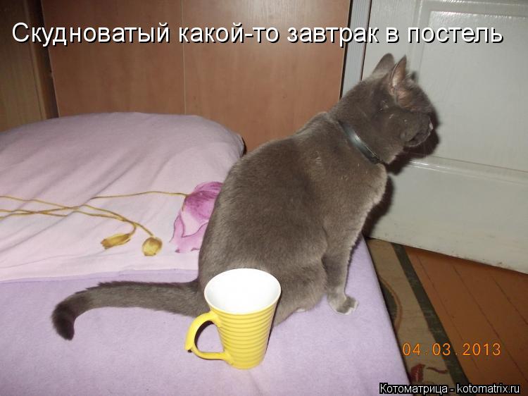 Скудноватый какой-то завтрак в постель... Котоматрица: Скудноватый какой-то завтрак в постель