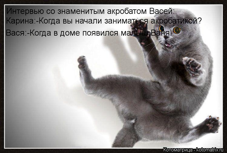 Интервью со знаменитым акробатом Васей: Карина:-Когда вы начали заниматься акробатикой? Вася:-Когда в... Котоматрица: Интервью со знаменитым акробатом Васей: Карина:-Когда вы начали заниматься акробатикой? Вася:-Когда в доме появился малыш Ваня!