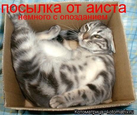 Котоматрица: посылка от аиста немного с опозданием