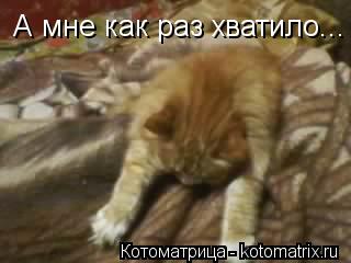 А мне как раз хватило...... Котоматрица: А мне как раз хватило...