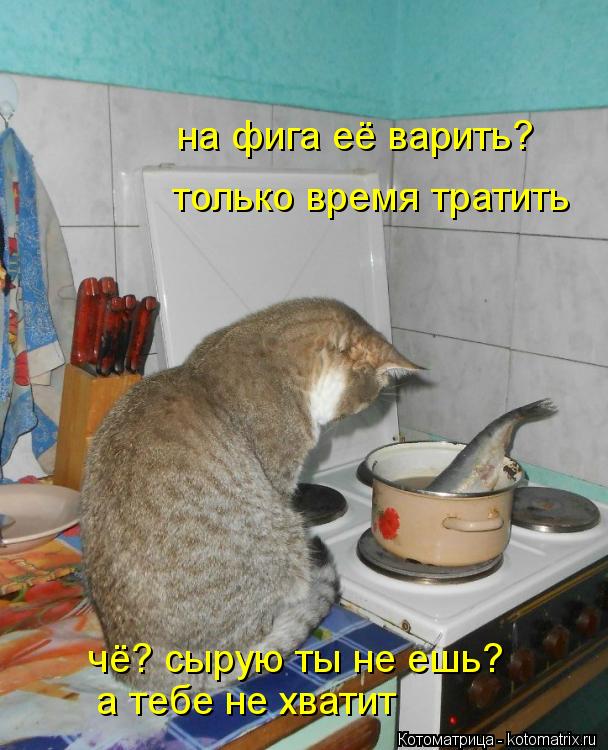 Котоматрица: на фига её варить? только время тратить чё? сырую ты не ешь? а тебе не хватит