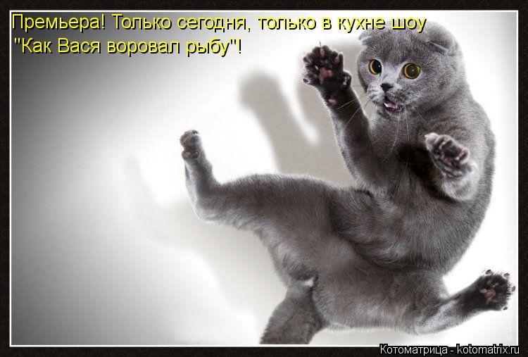 Премьера! Только сегодня, только в кухне шоу "Как Вася воровал рыбу"!... Котоматрица: Премьера! Только сегодня, только в кухне шоу "Как Вася воровал рыбу"!