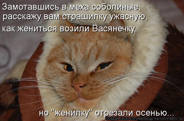 Замотавшись в меха соболиные, расскажу вам страшилку ужасную, как жениться возили Васянечку, но "ж... Котоматрица: Замотавшись в меха соболиные, расскажу вам страшилку ужасную, как жениться возили Васянечку, но "женилку" отрезали осенью...