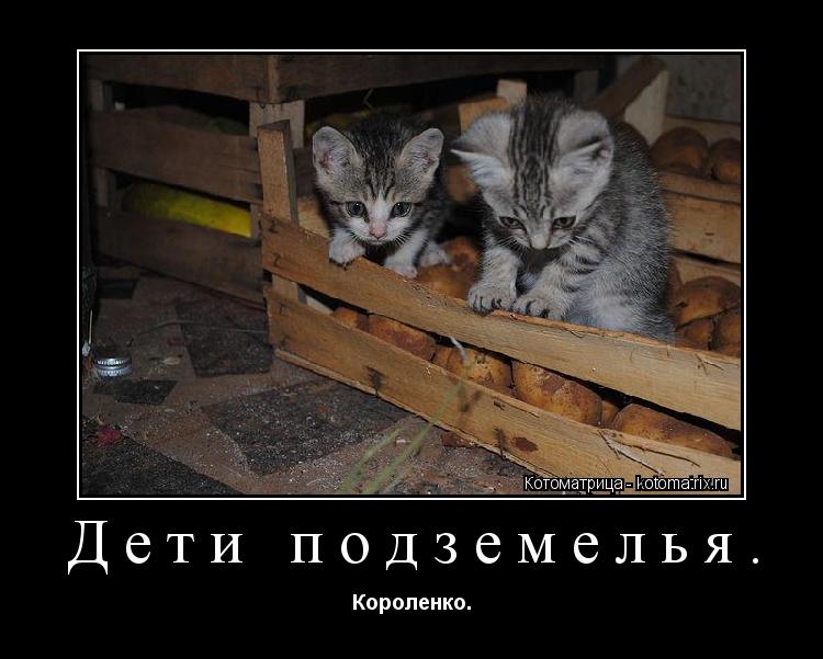 Дети подземелья. Короленко.... Котоматрица: Дети подземелья. Короленко.