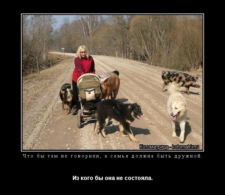 Котоматрица: Что бы там не говорили, а семья должна быть дружной. Из кого бы она не состояла.