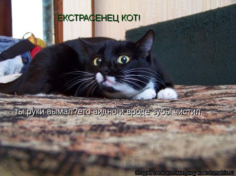ты руки вымал?ето видно!и вроде зубы чистил. ЕКСТРАСЕНЕЦ КОТ!... Котоматрица: ты руки вымал?ето видно!и вроде зубы чистил. ЕКСТРАСЕНЕЦ КОТ!