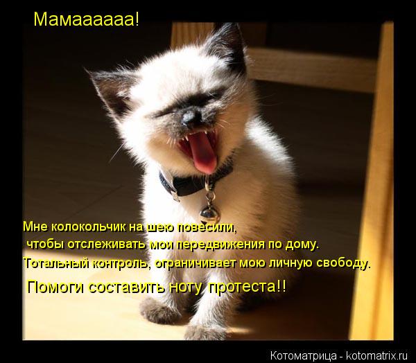 Мне колокольчик на шею повесили, чтобы отслеживать мои передвижения по дому. Тотальный контроль, огр... Котоматрица: Мне колокольчик на шею повесили, чтобы отслеживать мои передвижения по дому. Тотальный контроль, ограничивает мою личную свободу. Помоги с