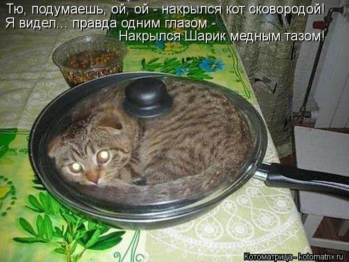 Котоматрица: Тю, подумаешь, ой, ой - накрылся кот сковородой!  Я видел... правда одним глазом - Накрылся Шарик медным тазом!
