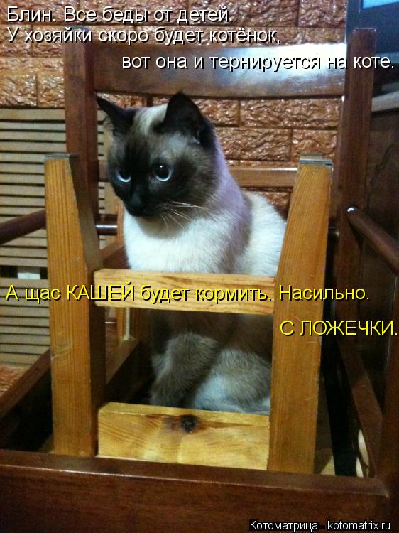 Котоматрица: Блин. Все беды от детей. У хозяйки скоро будет котёнок, вот она и тернируется на коте. А щас КАШЕЙ будет кормить. Насильно. С ЛОЖЕЧКИ.