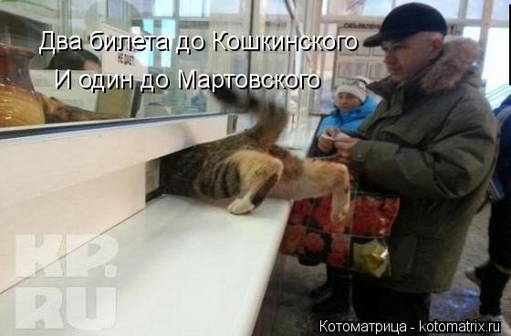 Котоматрица: Два билета до Кошкинского  И один до Мартовского