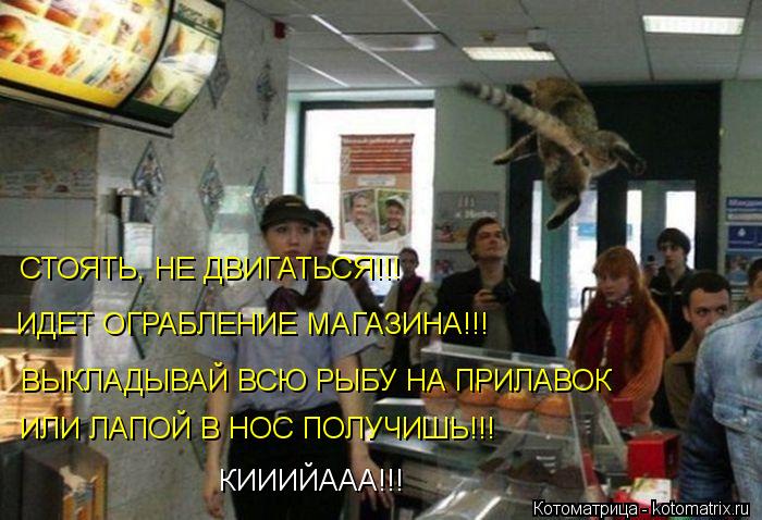 Котоматрица: СТОЯТЬ, НЕ ДВИГАТЬСЯ!!!  ИДЕТ ОГРАБЛЕНИЕ МАГАЗИНА!!! ВЫКЛАДЫВАЙ ВСЮ РЫБУ НА ПРИЛАВОК ИЛИ ЛАПОЙ В НОС ПОЛУЧИШЬ!!! КИИИЙААА!!!