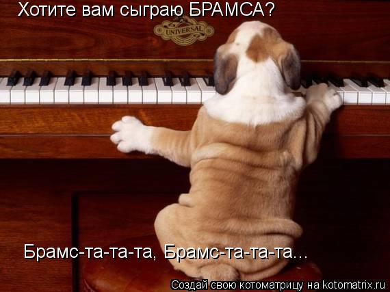 Хотите вам сыграю БРАМСА? Брамс-та-та-та, Брамс-та-та-та...... Котоматрица: Хотите вам сыграю БРАМСА? Брамс-та-та-та, Брамс-та-та-та...