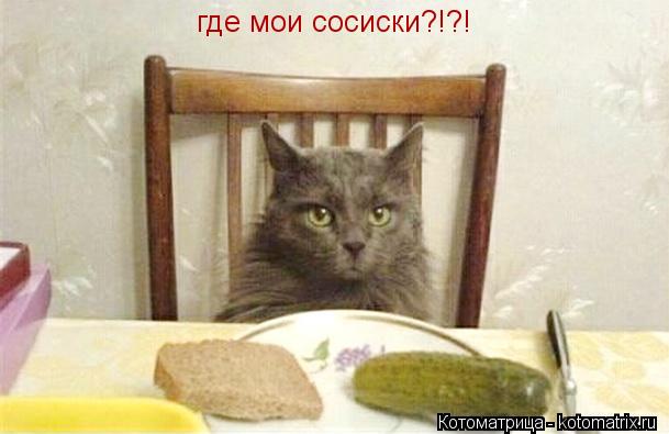 Котоматрица: где мои сосиски?!?!