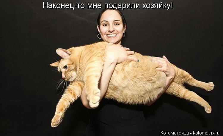 Котоматрица: Наконец-то мне подарили хозяйку!