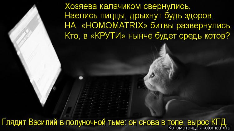 Котоматрица: Хозяева калачиком свернулись, Наелись пиццы, дрыхнут будь здоров. НА  «HOMOMATRIX» битвы развернулись. Глядит Василий в полуночной тьме: он снов