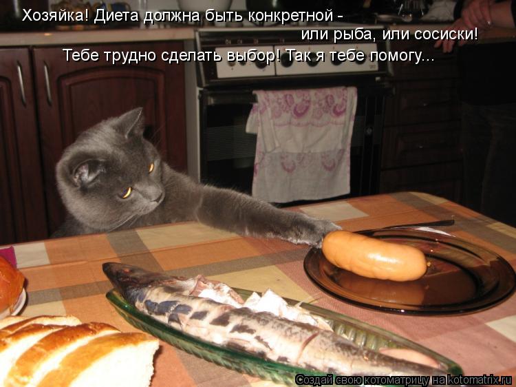 Котоматрица: Хозяйка! Диета должна быть конкретной - или рыба, или сосиски!  Тебе трудно сделать выбор! Так я тебе помогу...
