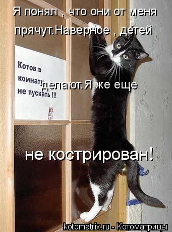 Котоматрица: Я понял , что они от меня  прячут.Наверное , детей  делают.Я же еще  не кострирован!