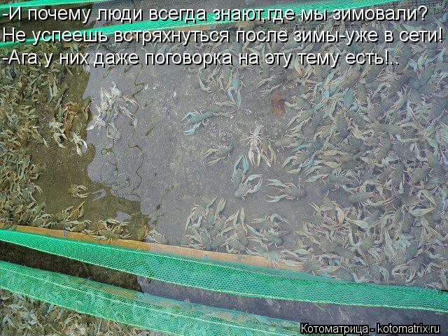 Котоматрица: -И почему люди всегда знают,где мы зимовали? Не успеешь встряхнуться после зимы-уже в сети! -Ага,у них даже поговорка на эту тему есть!..